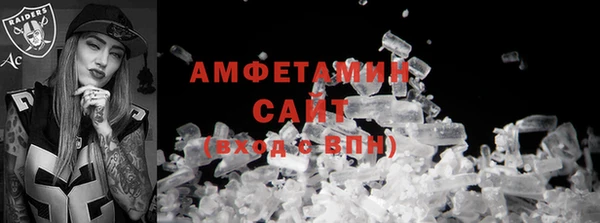 шишки Покачи