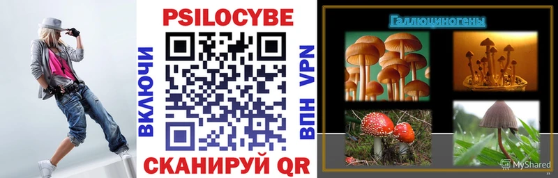 Псилоцибиновые грибы Cubensis  mega ссылки  Тула  купить наркоту 