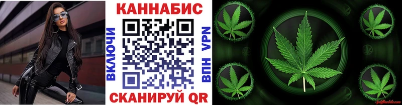 Бошки Шишки Amnesia  Тула 